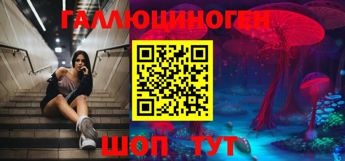 Псилоцибиновые грибы GOLDEN TEACHER  Вход с VPN  Клинцы 